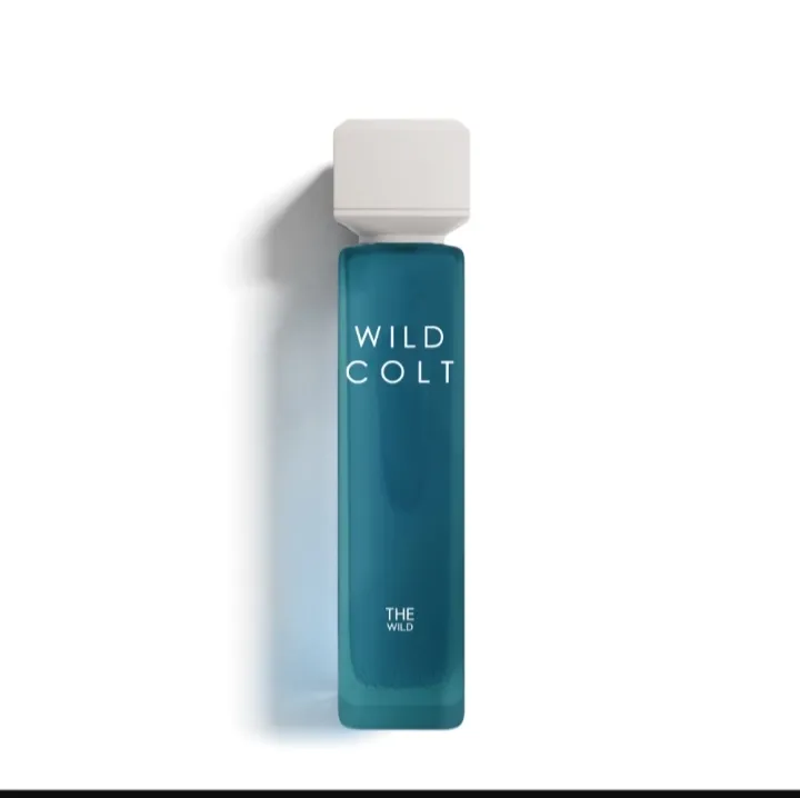 Wild colt
